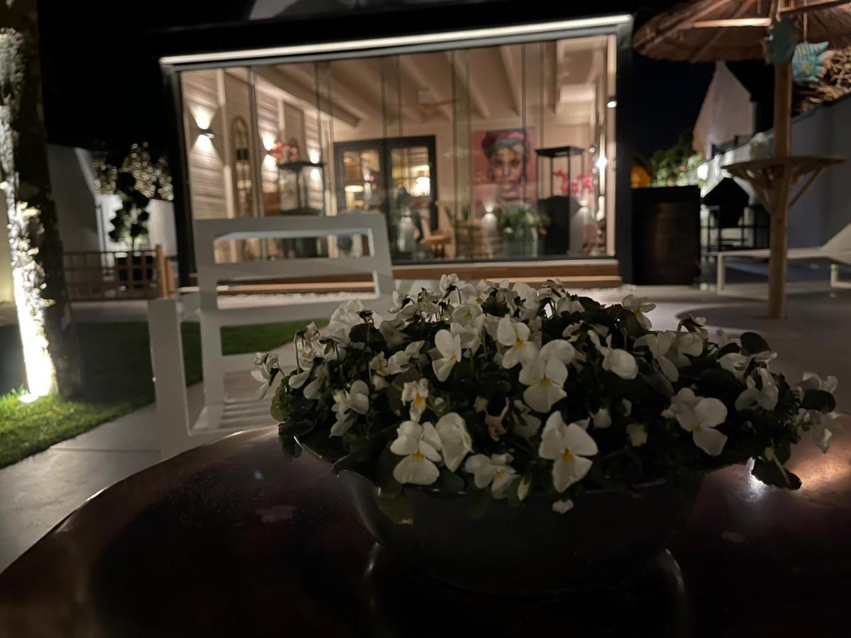 B&B Bubbles&Bites Oostvoorne Eksteriør billede